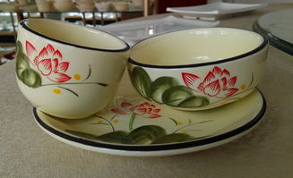 山東淄博陶瓷廠定制瓷器 餐洗公司專用加厚鎂質(zhì)強化瓷消毒餐具